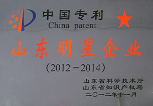 中国专利山东明星企业