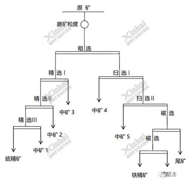 铁精粉除硫选矿试验流程设计