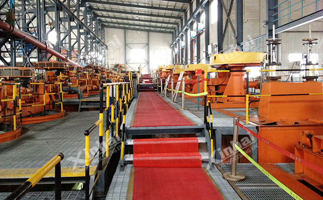 CLF粗颗粒浮选机某选矿厂现场