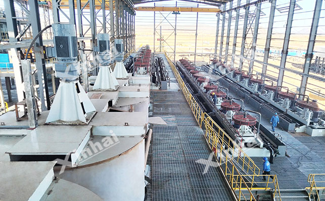 稀土脂肪酸类捕收剂浮选法 稀土脂肪酸类捕收剂浮选法